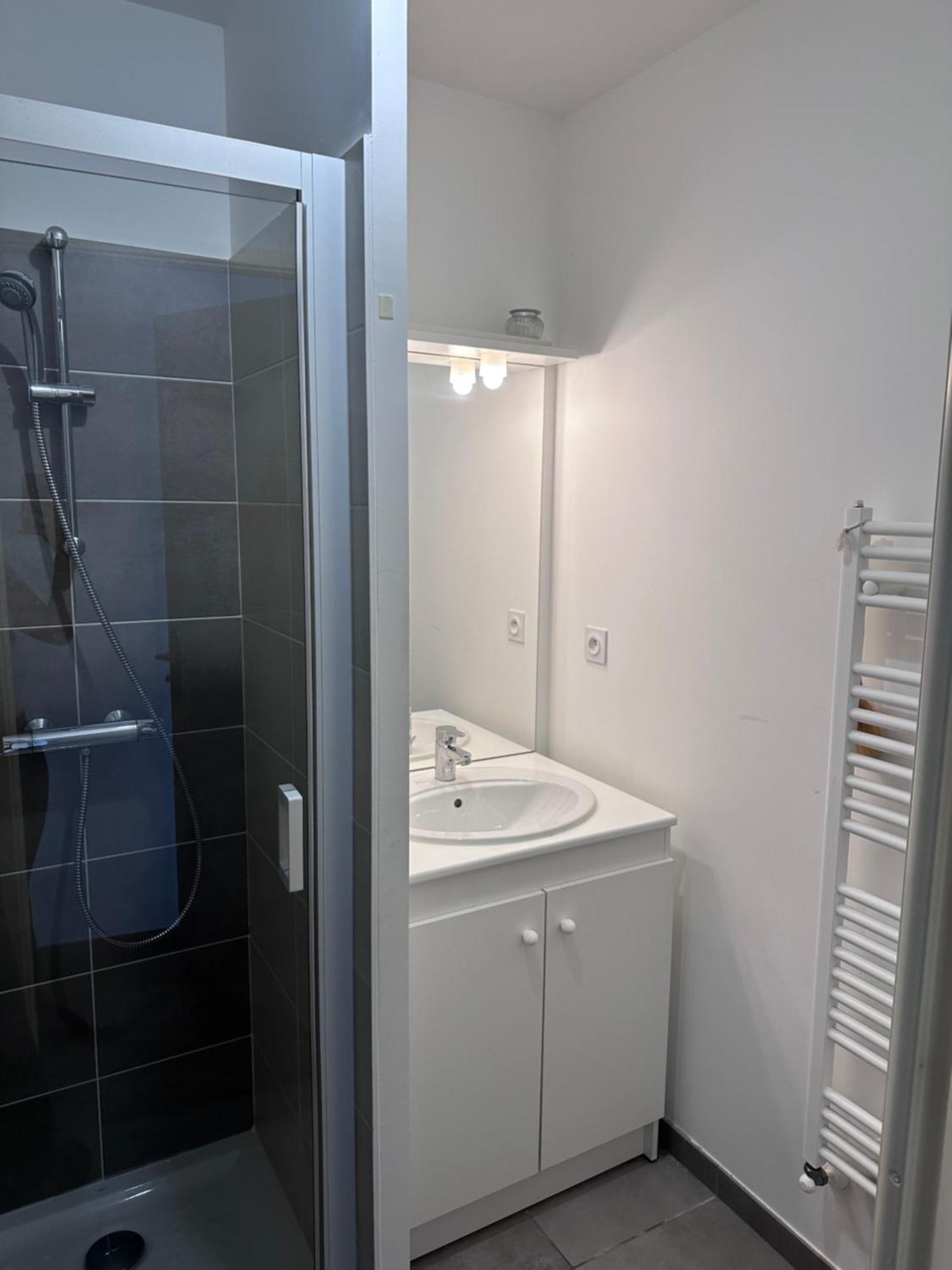 Au Centre De Appartement Villeurbanne